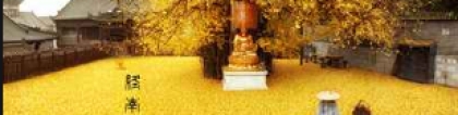 什么样的坟地布局才算好 埋对地方 造福一代又一代