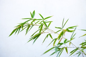 辟邪的佛化解你中邪庇佑众生平安
