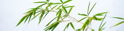 辟邪的佛化解你中邪庇佑众生平安