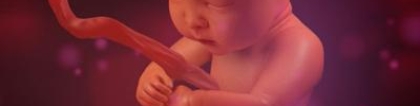 超度婴灵念什么？灵婴超度经文