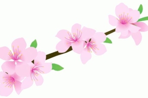 看易经风水如何教你斩断烂桃花