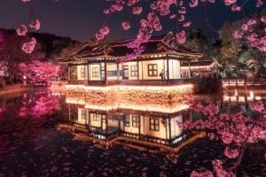 甲山庚向风水布局,八运风水庚山甲向的房子如何布局