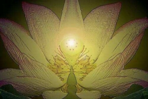 打胎的报应都有这些，需要我们赶紧化解